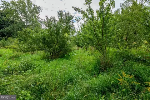 0 River Rd, Pequea, PA 17565 photo 10
