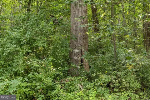 0 Seglock Rd, Lititz, PA 17543 photo 8