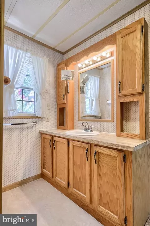 222 Maple Ave, Manheim, PA 17545 photo 28