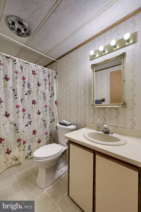 36 Maple Ave, Manheim, PA 17545 photo 25