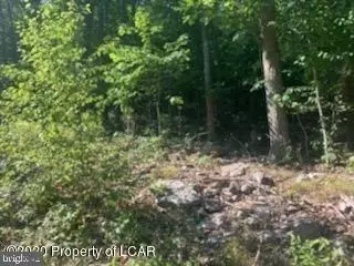 11 Tower Rd # c, Sugarloaf, PA 18249