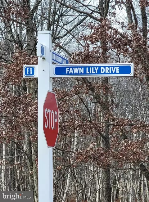 189 Fawn Lily Dr, Hazle Township, PA 18202