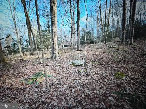 05 Outlet Rd, Harveys Lake, PA 18618