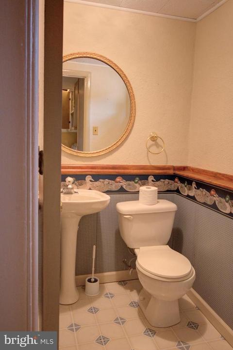 497 Falcon Rd, Wayne, PA 19087 photo 17
