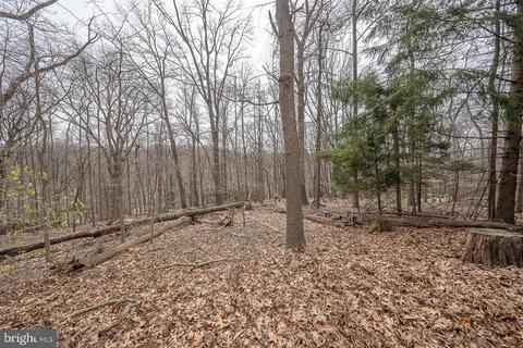 655 Crestwood Rd, Wayne, PA 19087 photo 4