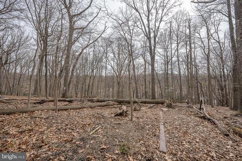 655 Crestwood Rd, Wayne, PA 19087 photo 6