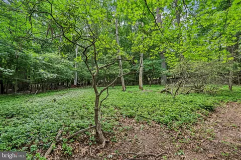 Exterior - 919 Croton Rd, Wayne, PA 19087 photo 6 of 13
