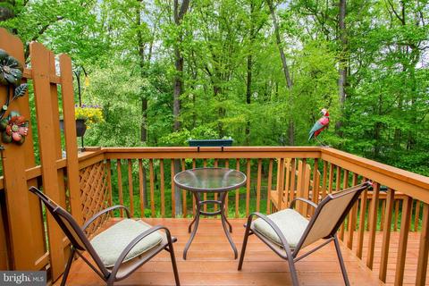 661 Forest Rd, Wayne, PA 19087 photo 5