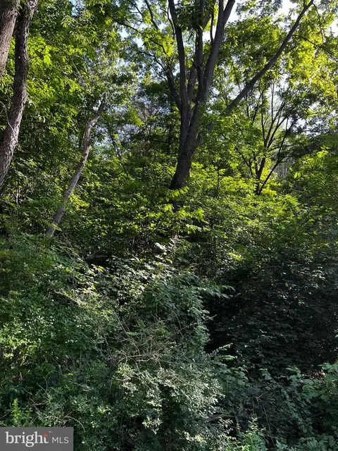 0 Pine Rd, Mcclure, PA 17841 photo 3