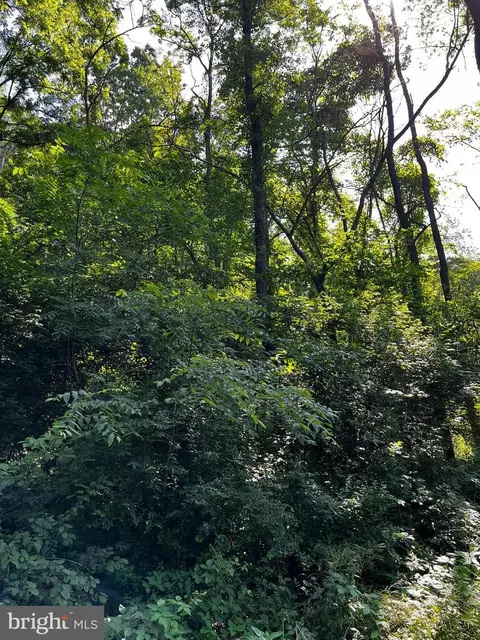 0 Pine Rd, Mcclure, PA 17841 photo 4