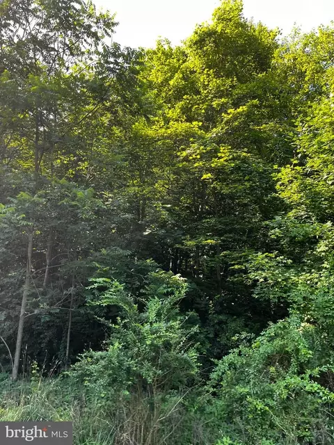 0 Pine Rd, Mcclure, PA 17841