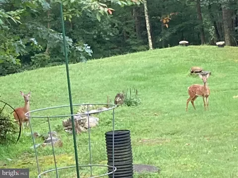 Other - 212 Bald Eagle Ln, Mcclure, PA 17841 photo 37 of 43