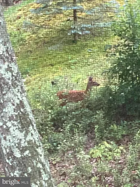 Other - 212 Bald Eagle Ln, Mcclure, PA 17841 photo 38 of 43