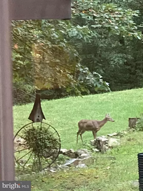 Other - 212 Bald Eagle Ln, Mcclure, PA 17841 photo 41 of 43