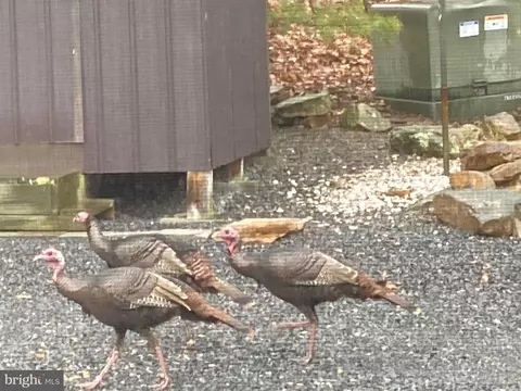 Other - 212 Bald Eagle Ln, Mcclure, PA 17841 photo 39 of 43