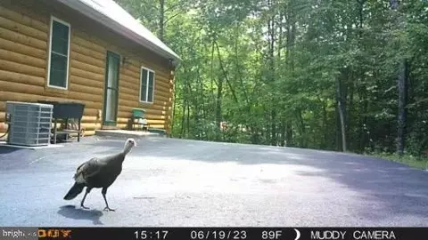 Other - 425 Bald Eagle Ln, Mcclure, PA 17841 photo 24 of 25