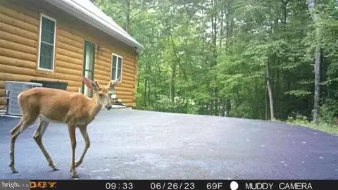 Other - 425 Bald Eagle Ln, Mcclure, PA 17841 photo 25 of 25