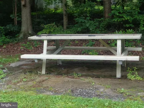 4350 Back Maitland Rd, Mcclure, PA 17841 photo 34