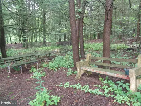4350 Back Maitland Rd, Mcclure, PA 17841 photo 36