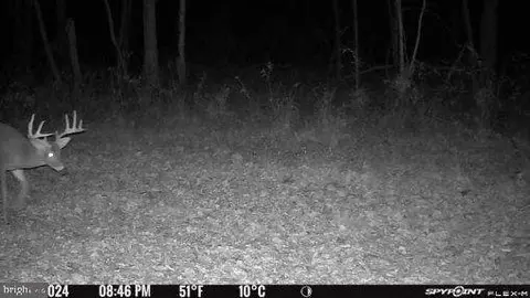 Other - 667 Summit Rd, Mcclure, PA 17841 photo 22 of 27