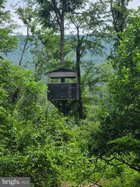 Other - 667 Summit Rd, Mcclure, PA 17841 photo 23 of 27