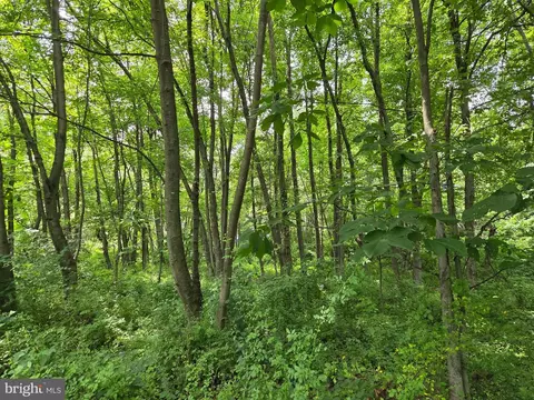 Other - 667 Summit Rd, Mcclure, PA 17841 photo 11 of 27