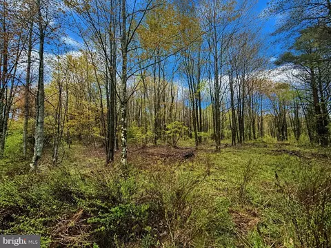 Grandview Road, Kane, PA 16735