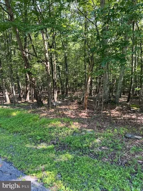 Pocono Forested Drive, East Stroudsburg, PA 18302