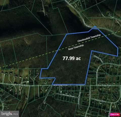 Blue Ridge Road, Saylorsburg, PA 18353