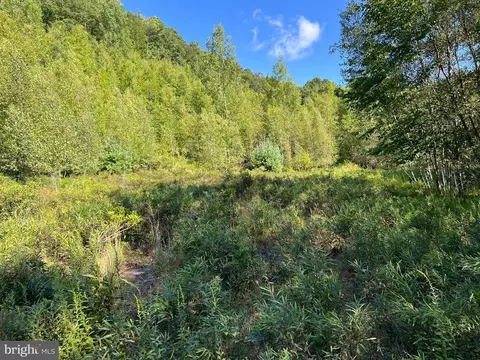 0 Lower Mountain Drive Lower Mountain Dr, Effort, PA 18330