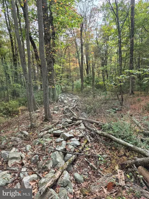 Millheim Road, Bath, PA 18014 photo 6