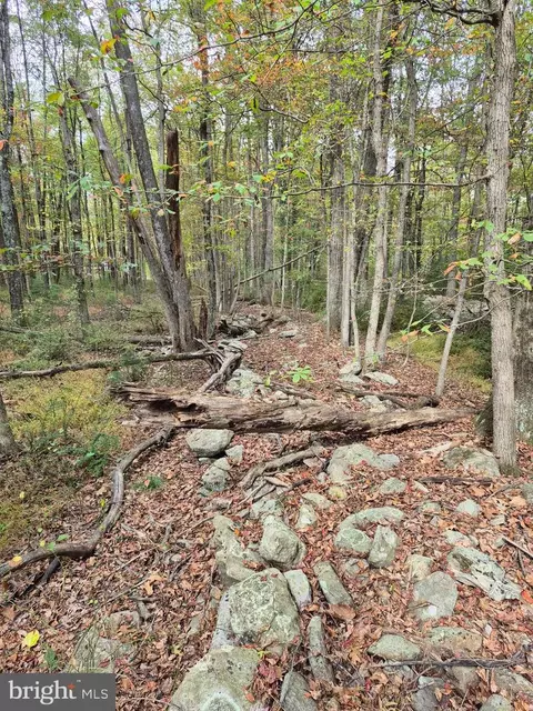 Millheim Road, Bath, PA 18014 photo 9
