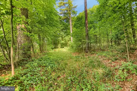 0 Line Mountain Rd, Dornsife, PA 17823 photo 11
