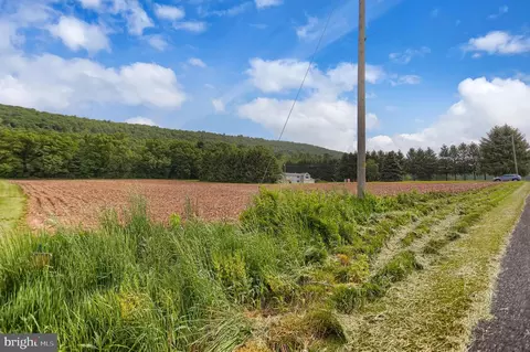 0 Line Mountain Rd, Dornsife, PA 17823 photo 5