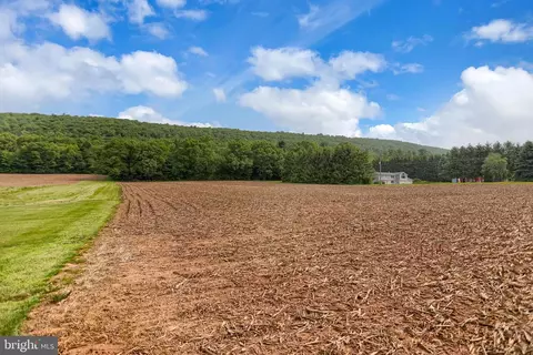 0 Line Mountain Rd, Dornsife, PA 17823 photo 6