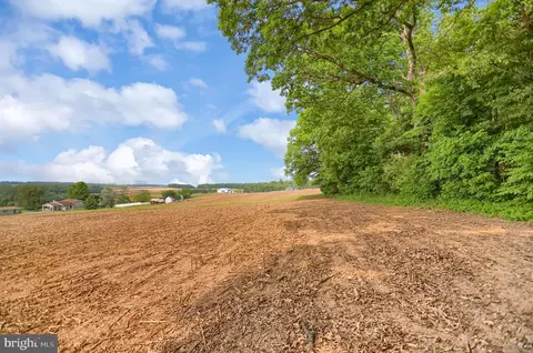 0 Line Mountain Rd, Dornsife, PA 17823 photo 9