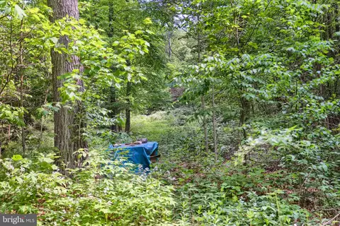 0 Line Mountain Rd, Dornsife, PA 17823 photo 12