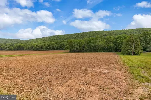 0 Line Mountain Rd, Dornsife, PA 17823 photo 3