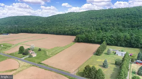 0 Line Mountain Rd, Dornsife, PA 17823 photo 15