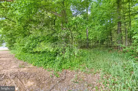 0 Line Mountain Rd, Dornsife, PA 17823 photo 10