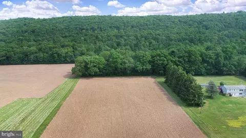 0 Line Mountain Rd, Dornsife, PA 17823 photo 14