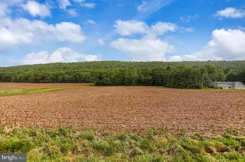 0 Line Mountain Rd, Dornsife, PA 17823 photo 4