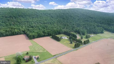 0 Line Mountain Rd, Dornsife, PA 17823 photo 17