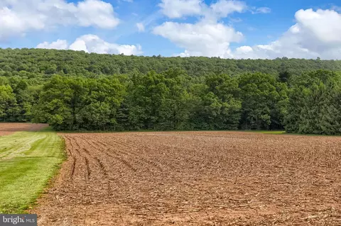 0 Line Mountain Rd, Dornsife, PA 17823 photo 7