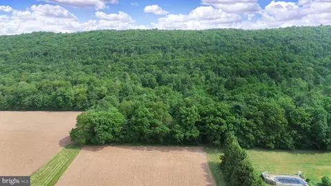 0 Line Mountain Rd, Dornsife, PA 17823 photo 18