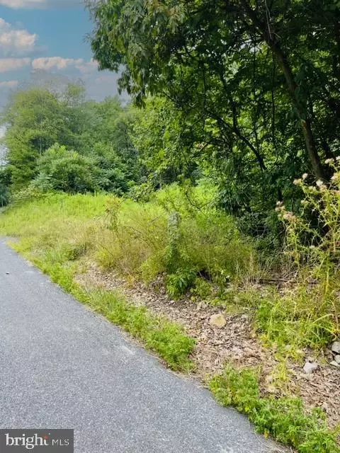 0 Greenbrier Rd, Dornsife, PA 17823 photo 5