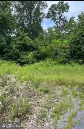 0 Greenbrier Rd, Dornsife, PA 17823 photo 4