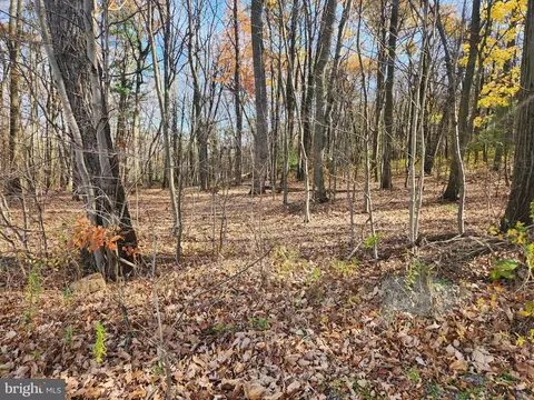 Lot #150 Clay Hill Road, Dornsife, PA 17823