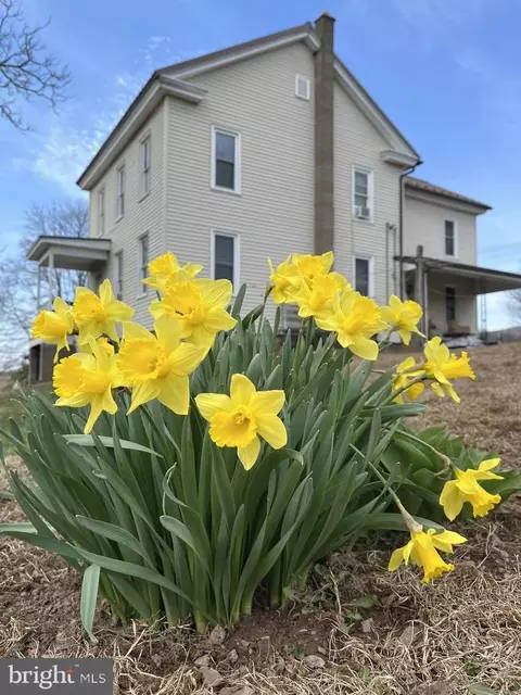 148 Falck Rd, Rebuck, PA 17867