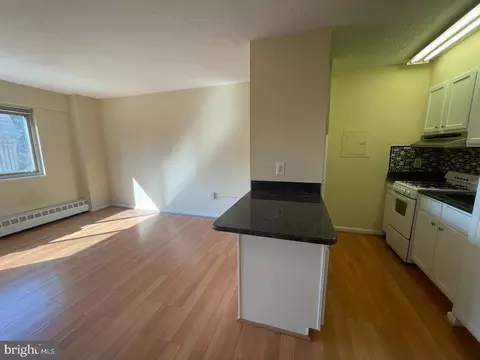 2101 17 Chestnut St #1413, Philadelphia, PA 19103